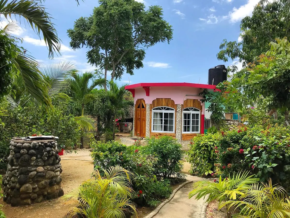 Coral Cottage Jamaica Negril Nocleg ze śniadaniem